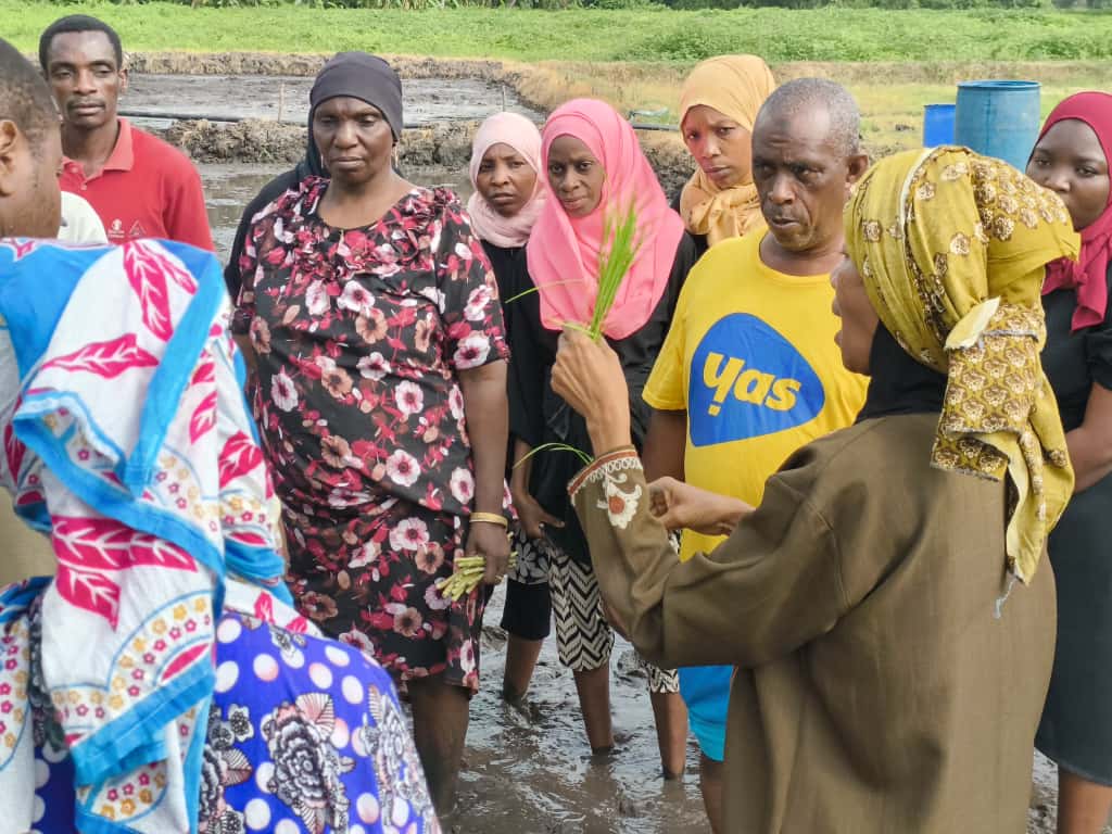 WAKULIMA WA MPUNGA BONDE LA MUYUNI WAKIPATA MAELEZO KUHUSU KILIMO HICHO KUTOKA KWA MTAALAMU WA KILIMO BI SAADA SEIF.