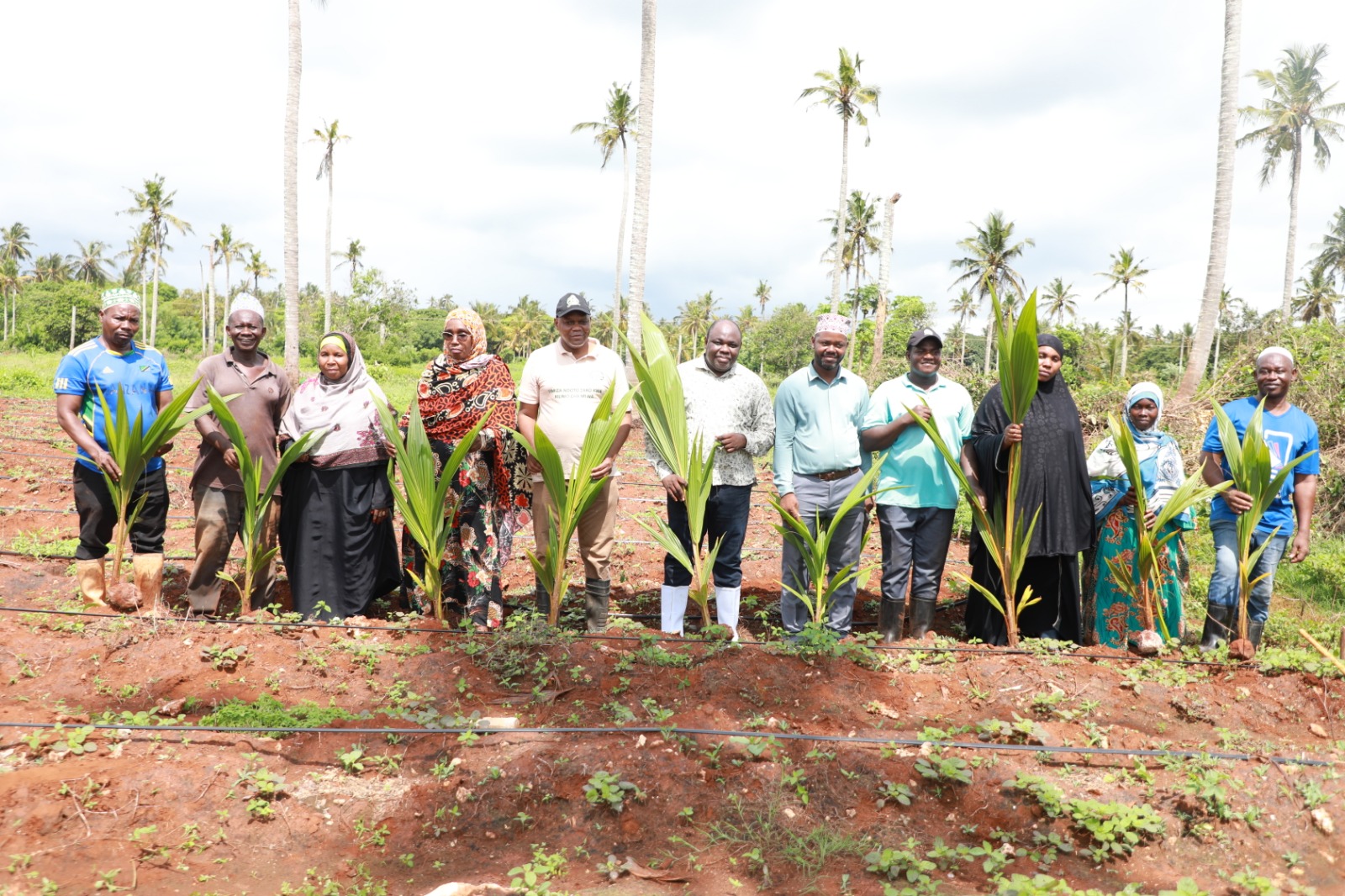 Naibu Waziri wa Kilimo Dr. Salum Aongoza Upandaji wa Miche 250 ya Minazi Bamb