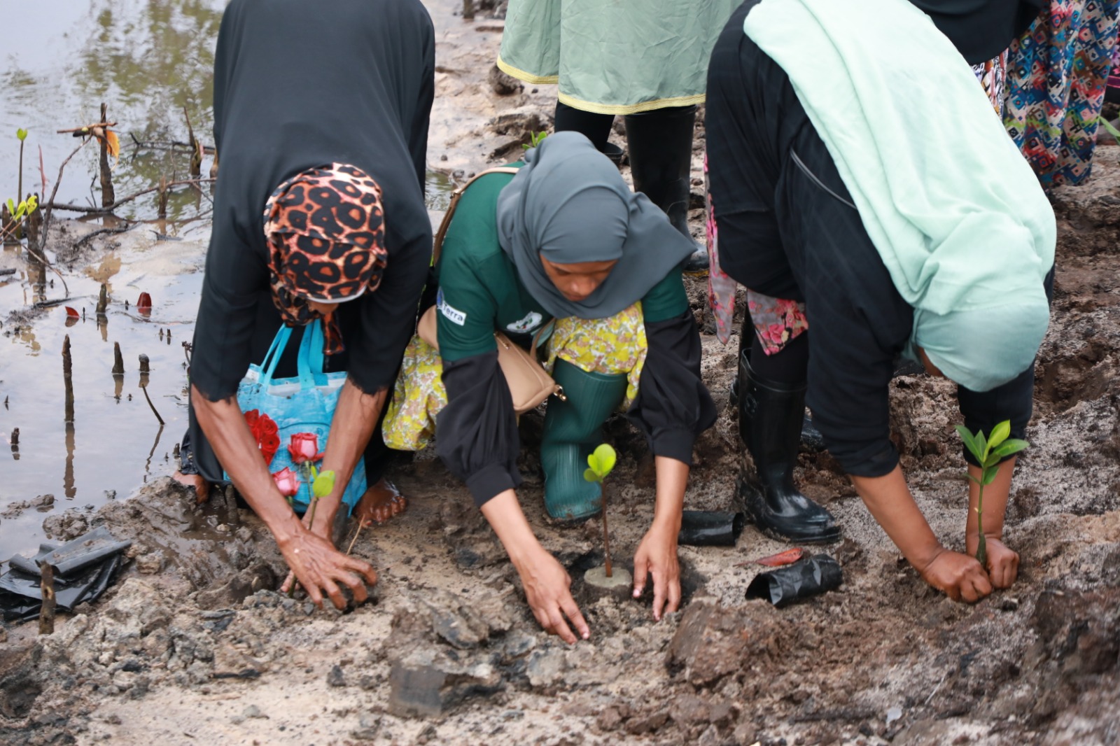 Wanajamii Bumbwini Mafufuni Washiriki Upandaji wa Mikoko Kukabiliana na Mabadiliko ya Tabia ya nchi
